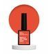 Lac cu gel Nails Of The Day Let's special Pantone2024/2 morcov roșu 10 ml NOTD_412 foto