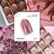 Lac cu gel Nails Of The Day Let's special Swiss Dream dusty pink 10 ml  NOTD_656 foto 2